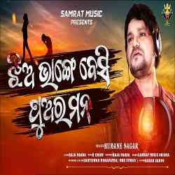 Jhia Bhange Besi Puara Mana